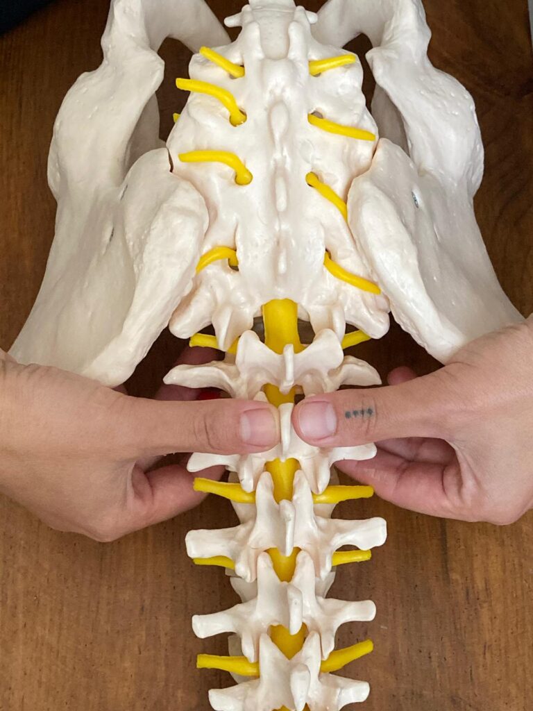 osteopatía integral en ibiza